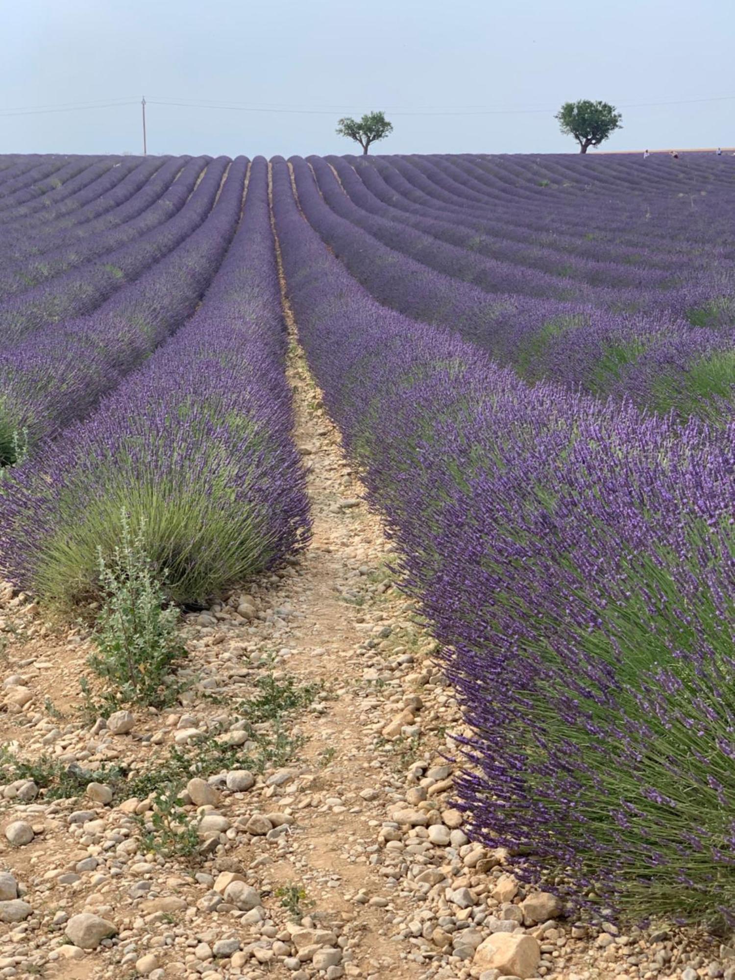Studios Nuitee En Provence เอ็ก-ซอง-โพรวองซ์ ภายนอก รูปภาพ
