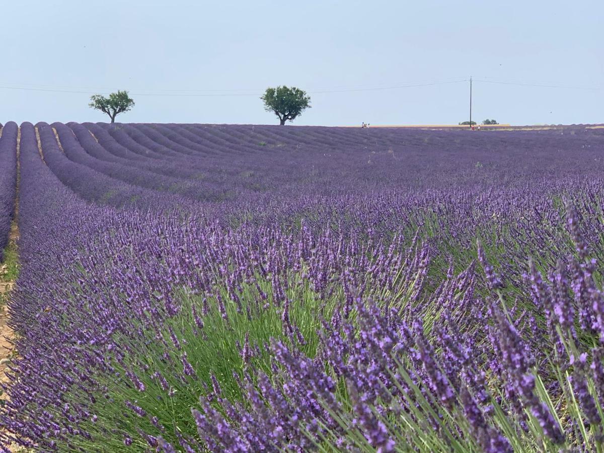 Studios Nuitee En Provence เอ็ก-ซอง-โพรวองซ์ ภายนอก รูปภาพ